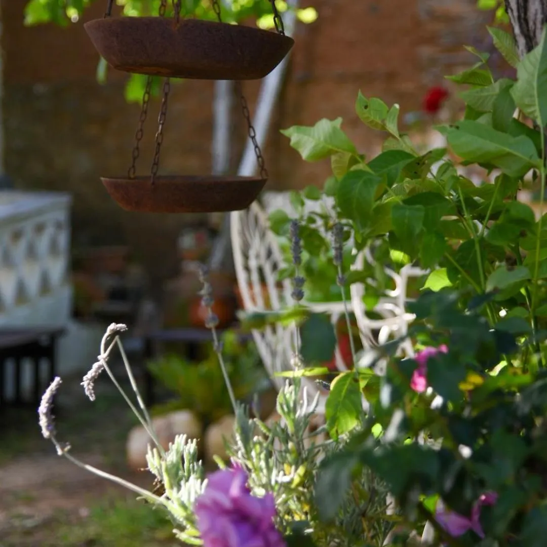 Hospederia De La Corte Casa Rural Con Encanto En La Sierra De Aracena Guest House Country house