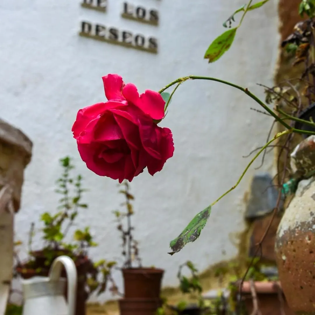 Country house Hospederia De La Corte Casa Rural Con Encanto En La Sierra De Aracena Guest House Spain