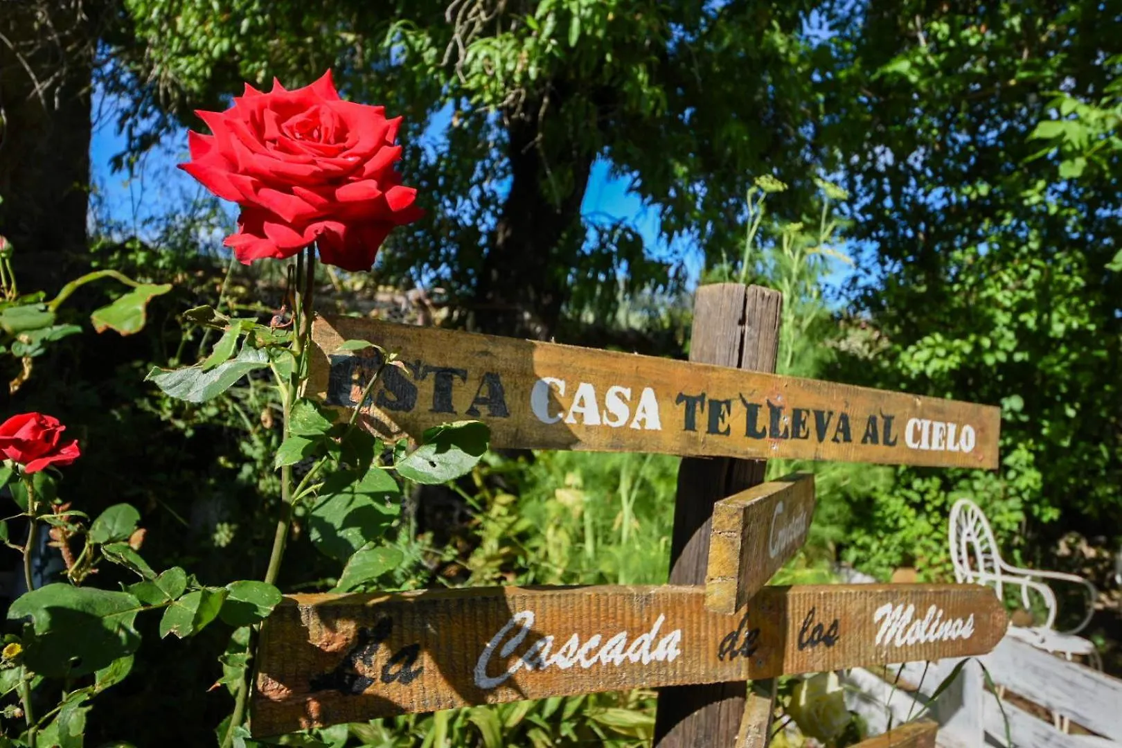 Hospederia De La Corte Casa Rural Con Encanto En La Sierra De Aracena Guest House 0*,